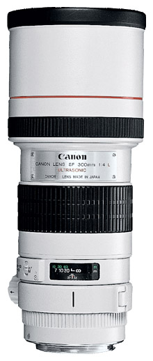 Объективы - Canon EF 300 f/4L USM